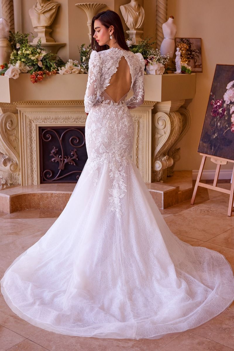 Vestido de novia sirena con escote en V y encaje en mangas largas